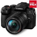 Mirrorless Interchangeable Lips Lumix Dc-G99M2H Af