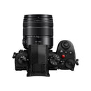 Mirrorless Interchangeable Lips Lumix Dc-G99M2H Af
