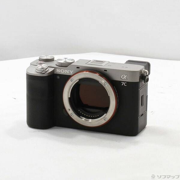Sony Mirrorless Interchangeable Lips 7C 305