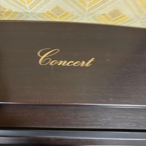 Korg Keyboard Electronic Piano C-303 Concert 3