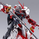 Premium Bandai Other Project Astray
