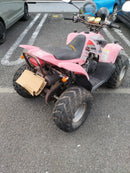 Motorcycle Frames 50 Desert Cat