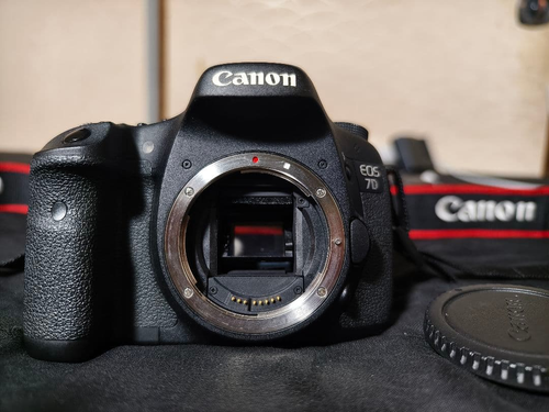 Canon Digital Slr Eos 7D