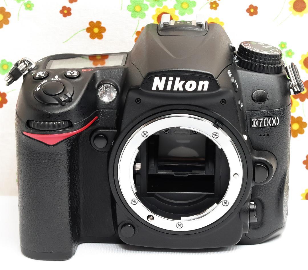 Nikon Digital Slr D7000