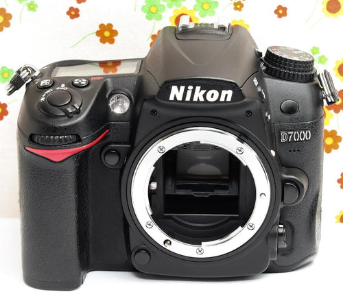 Nikon Digital Slr D7000