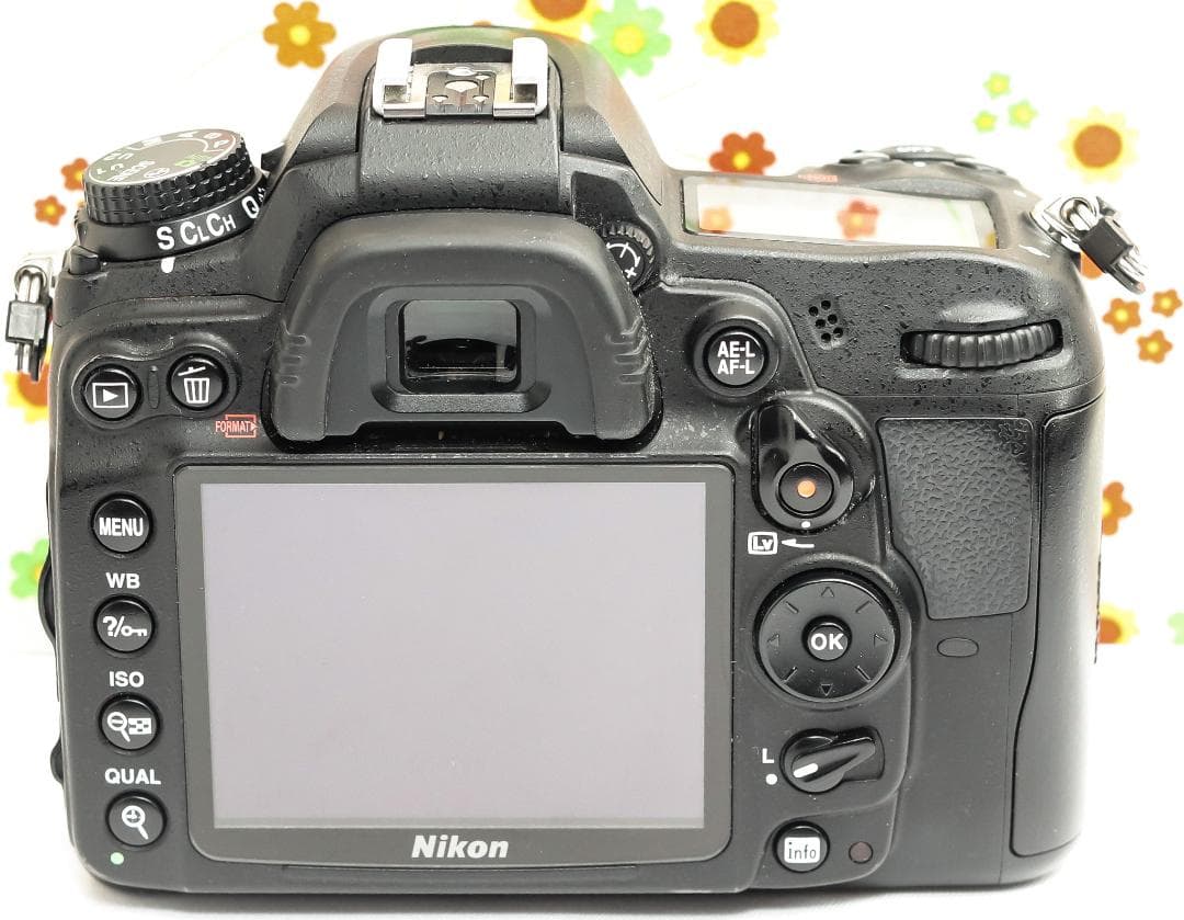 Nikon Digital Slr D7000
