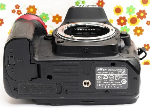 Nikon Digital Slr D7000
