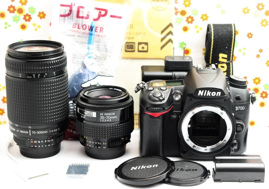 Nikon Digital Slr D7000
