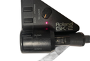 Pick Up Roland Gk-2A