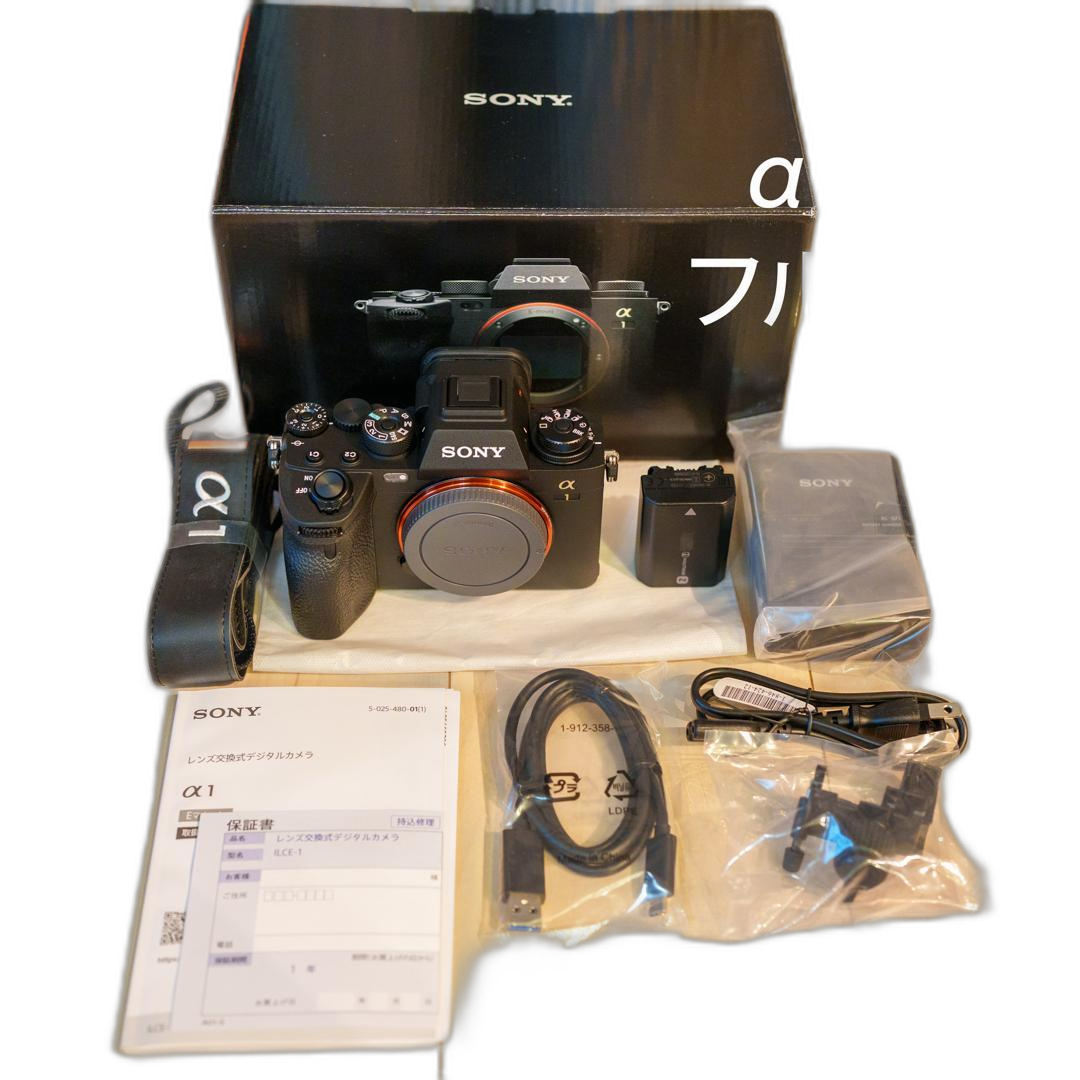 Sony Mirrorless Interchangeable Lips 1 Ilce-1 1195