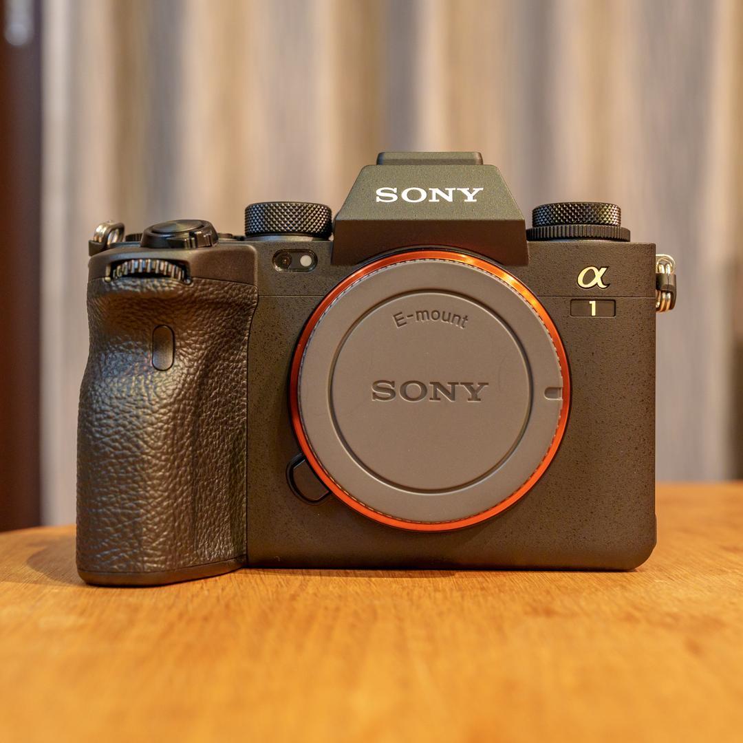 Sony Mirrorless Interchangeable Lips 1 Ilce-1 1195