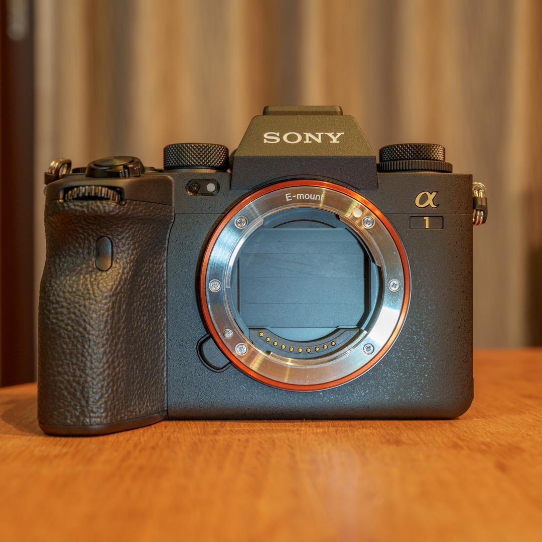Sony Mirrorless Interchangeable Lips 1 Ilce-1 1195