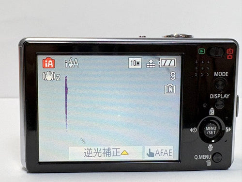 Panasonic Compact Digital Camera Lumix Dmc-Fx500