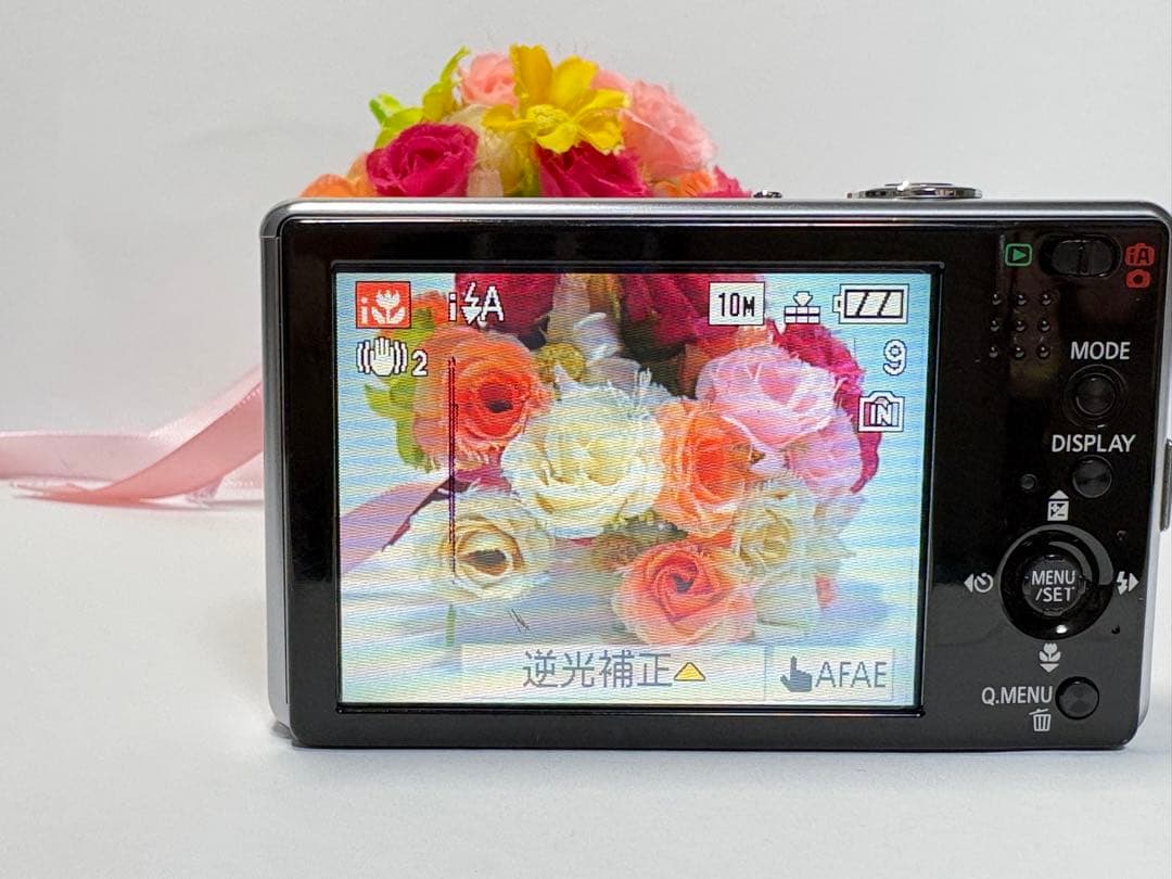 Panasonic Compact Digital Camera Lumix Dmc-Fx500