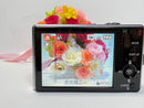 Panasonic Compact Digital Camera Lumix Dmc-Fx500
