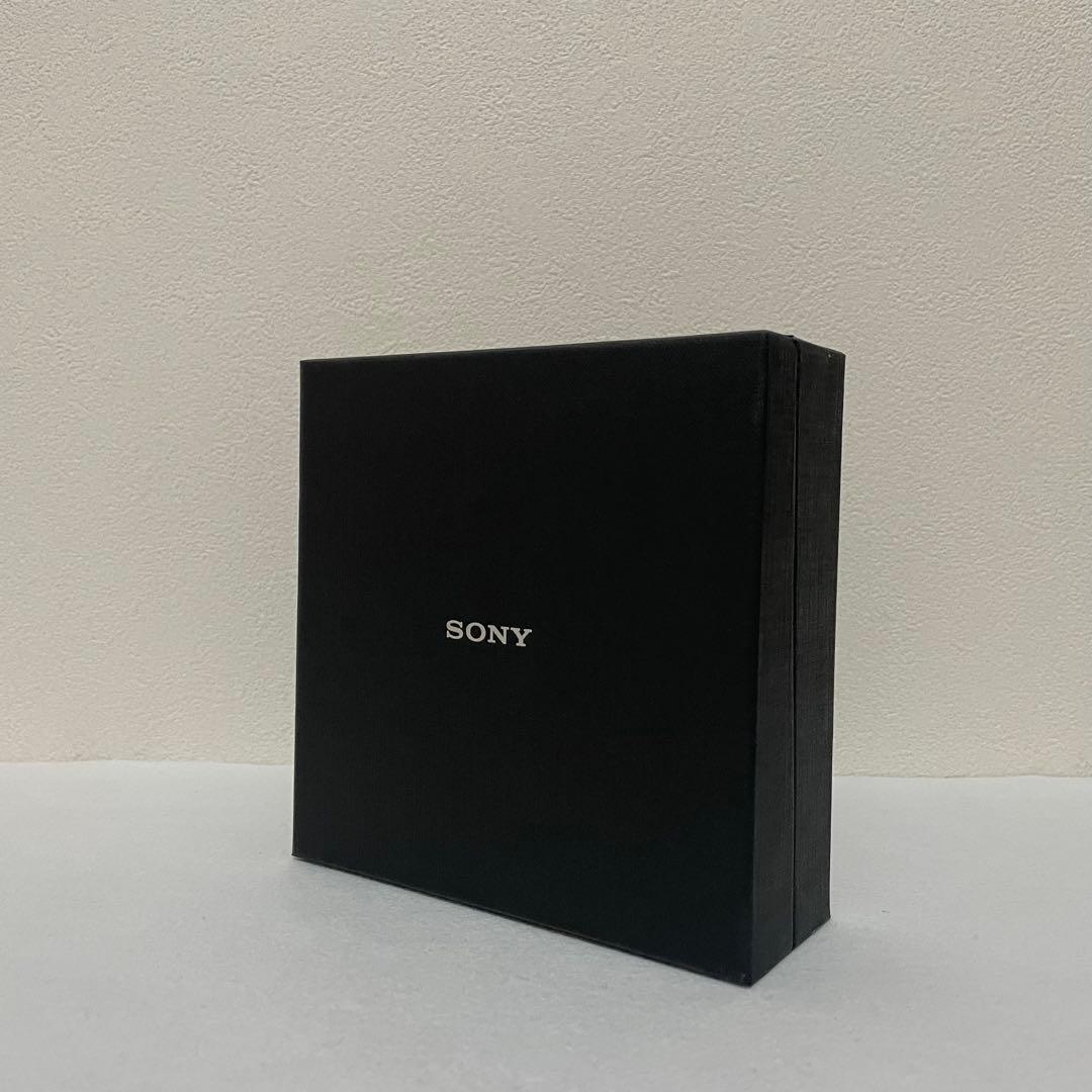 Sony Digital Audio Players Nw-A605