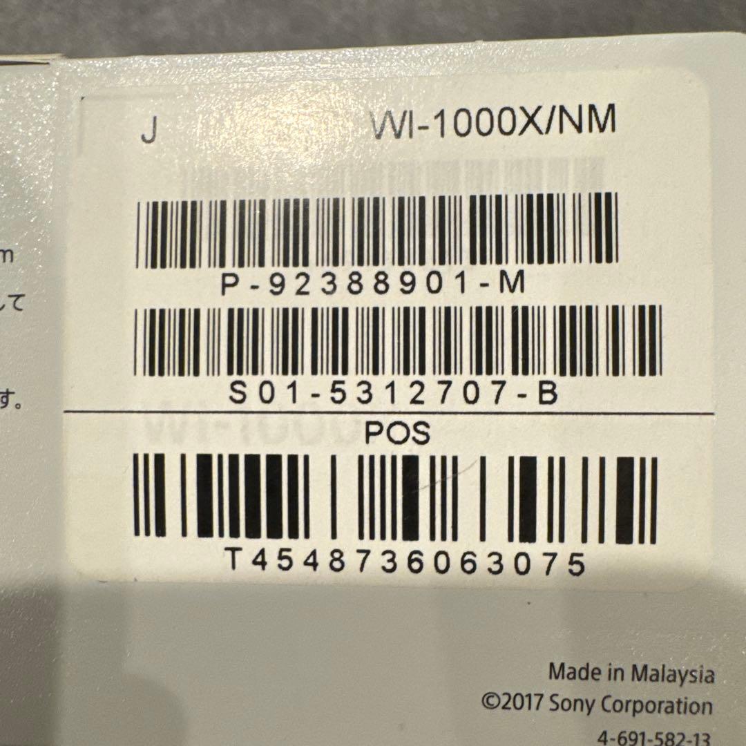 Sony Wireless Earphone Wi-1000X