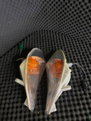 Lights Turn Signals V125G V125 Cf4Ea Cf46A