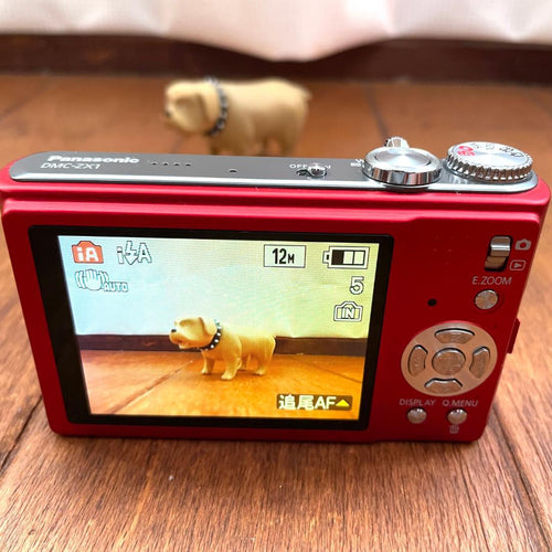 Panasonic Compact Digital Camera Lumix Dmc-Zx1