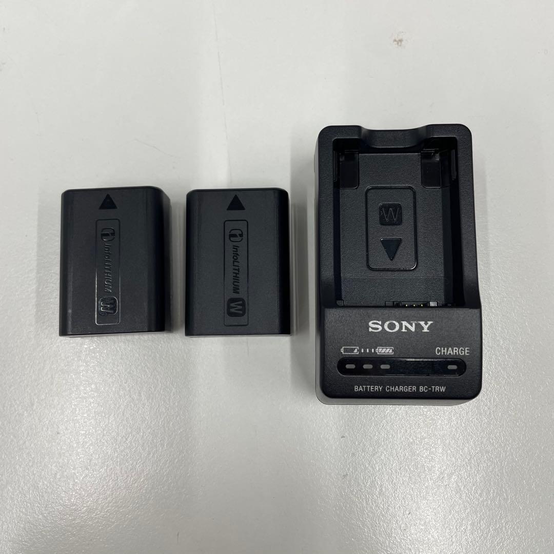 Sony Mirrorless Interchangeable Lens Cameras Tk 6300