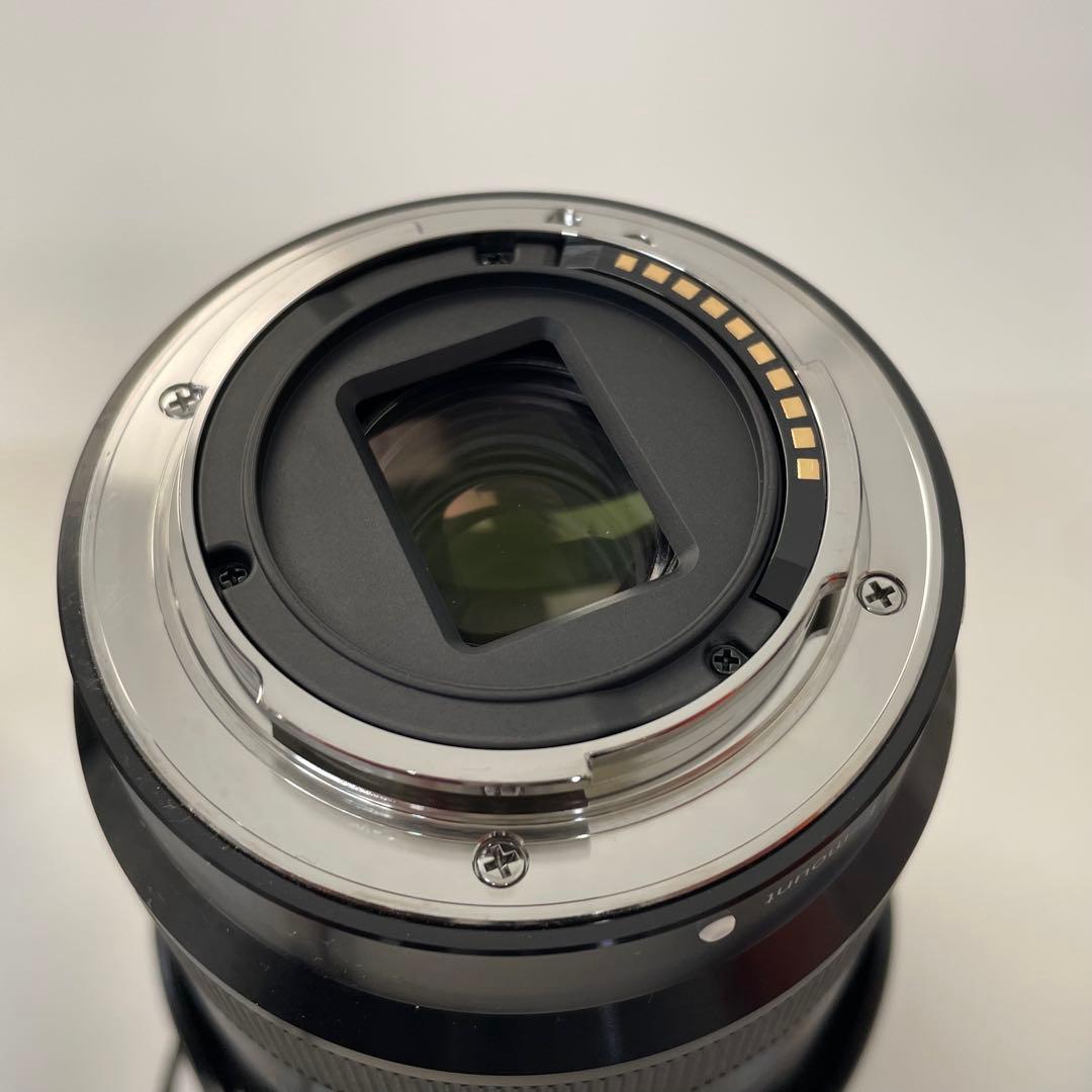 Sony Mirrorless Interchangeable Lens Cameras Tk 6300