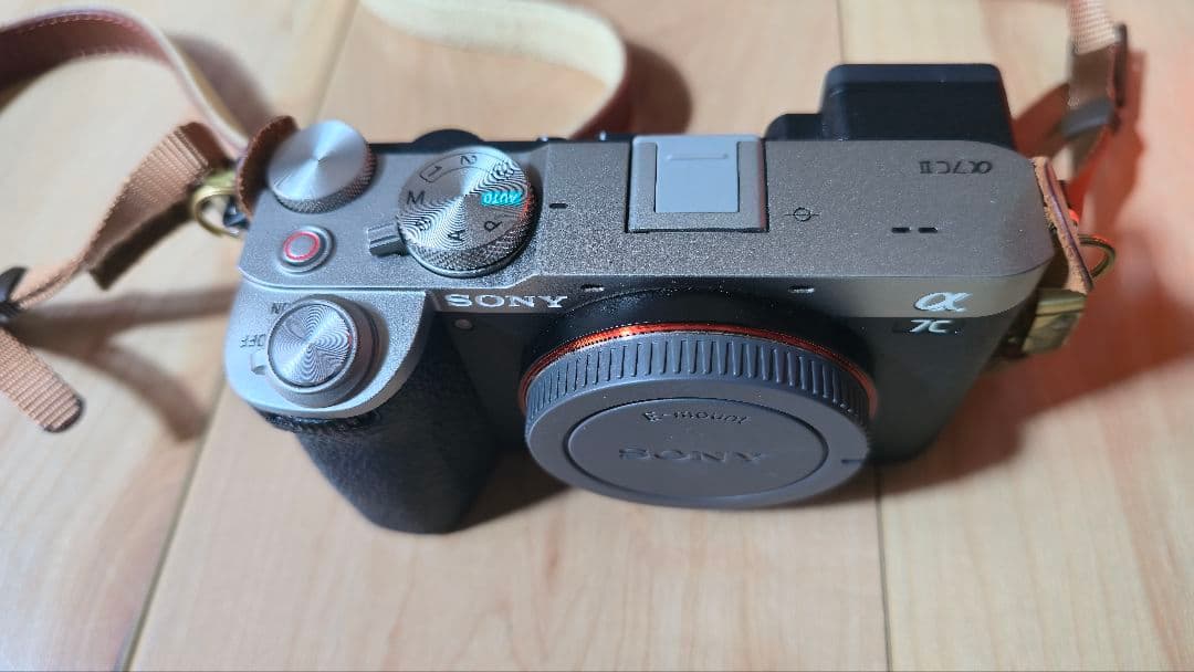 Sony Mirrorless Interchangeable Lips 7C2 2