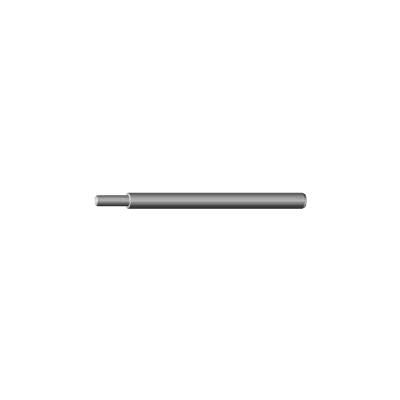 Screw (Pt-30X1000)