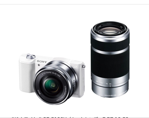 Sony Mirrorless Interchangeable Lens Cameras 5100