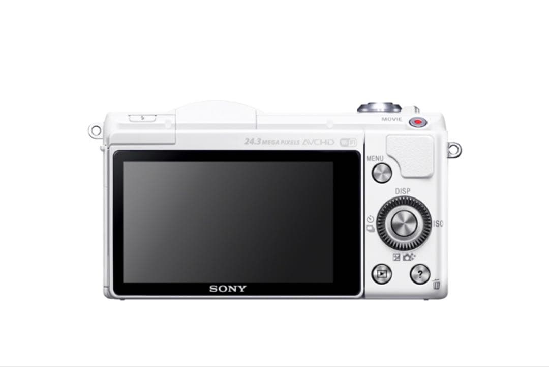 Sony Mirrorless Interchangeable Lens Cameras 5100