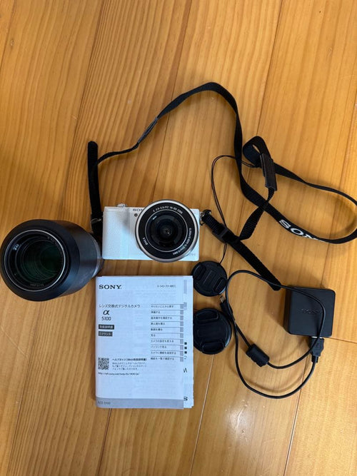 Sony Mirrorless Interchangeable Lens Cameras 5100