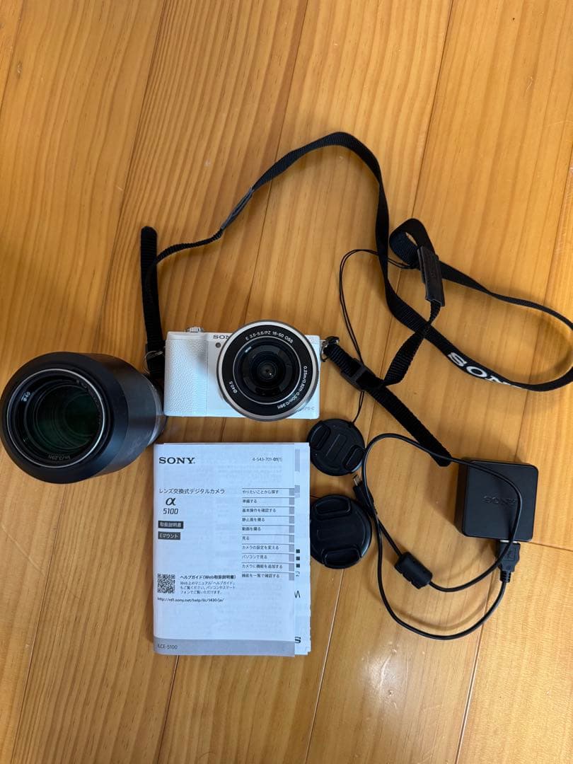Sony Mirrorless Interchangeable Lens Cameras 5100
