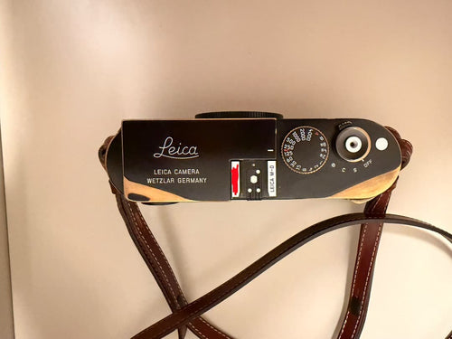 Leica Mirrorless Interchangeable Lens Cameras M-D (Typ 262)