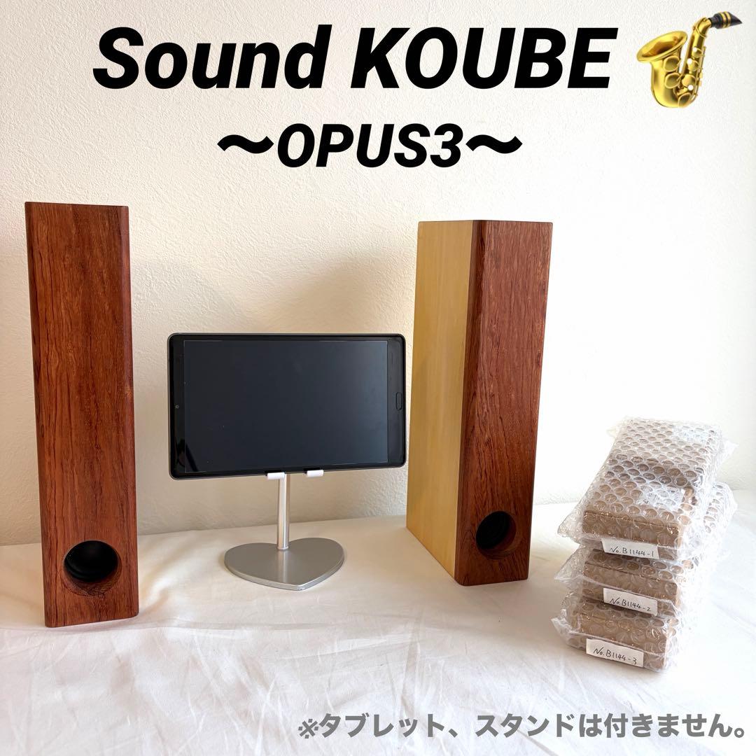Audio-Opus Speakers 34 Sound Koube Opus3