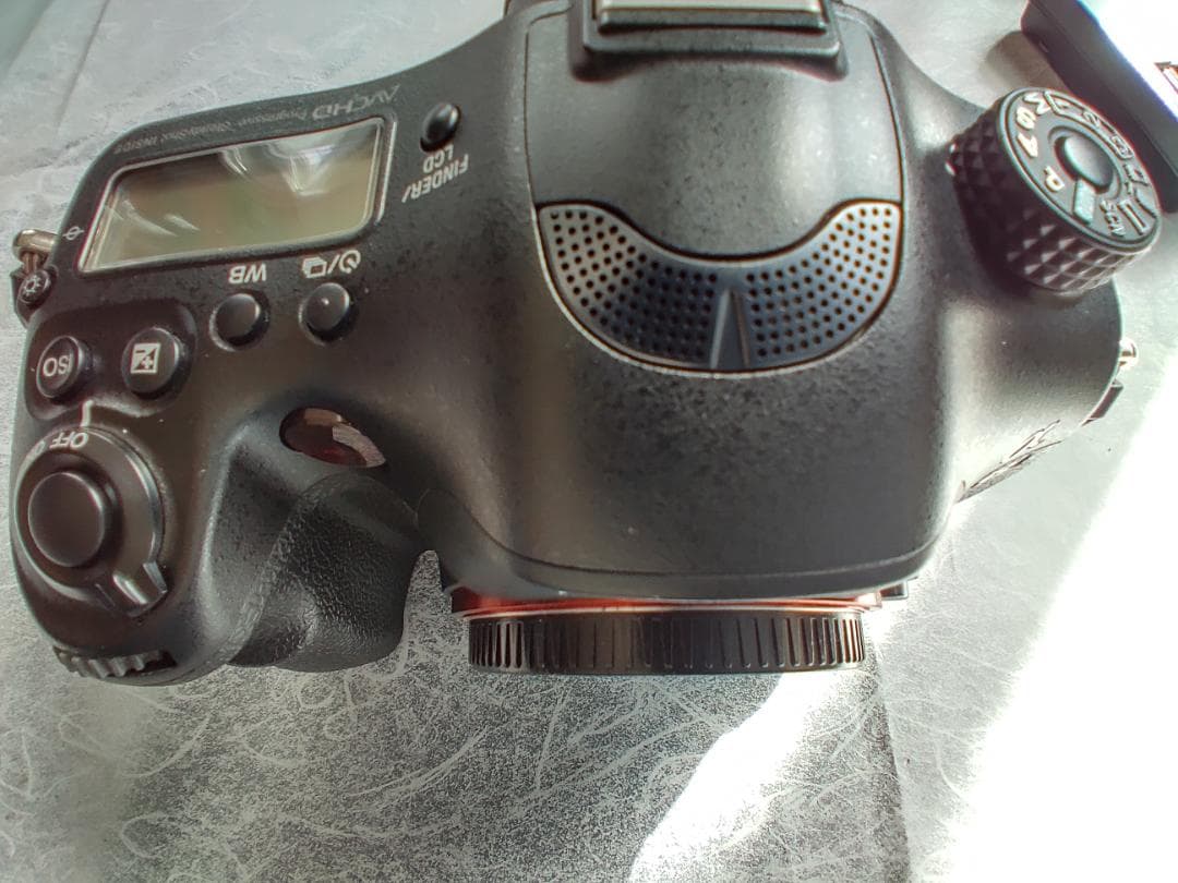 Sony Digital Slr 99