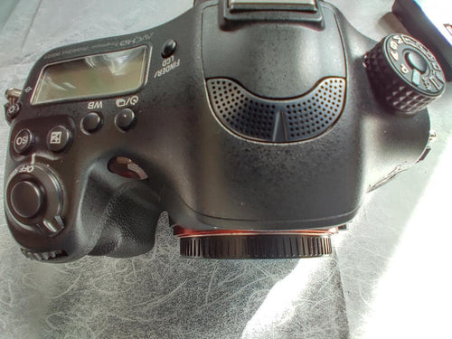Sony Digital Slr 99