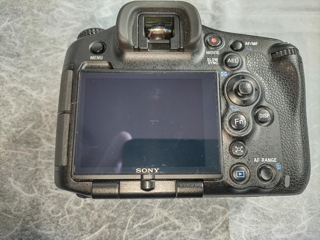 Sony Digital Slr 99