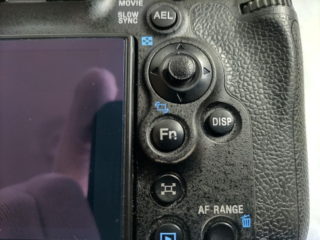 Sony Digital Slr 99