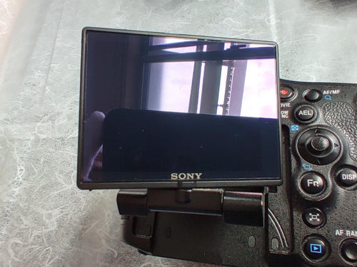 Sony Digital Slr 99