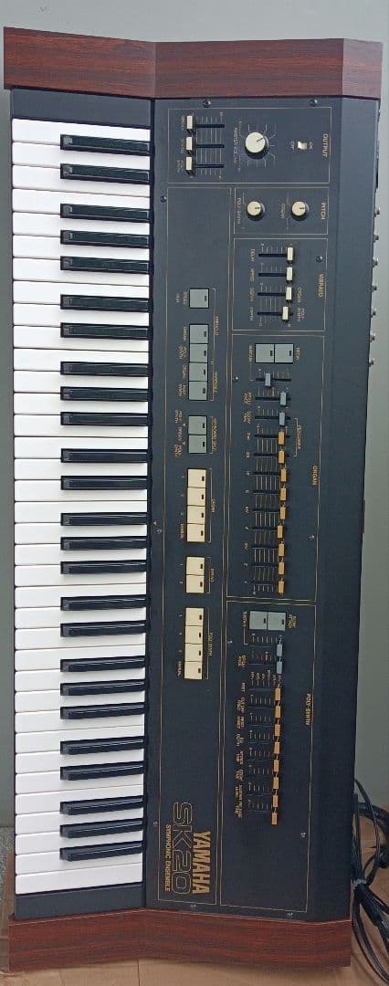 Other Yamaha Sk20 Symphonic Ensemble