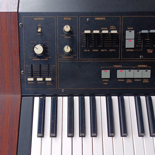 Other Yamaha Sk20 Symphonic Ensemble