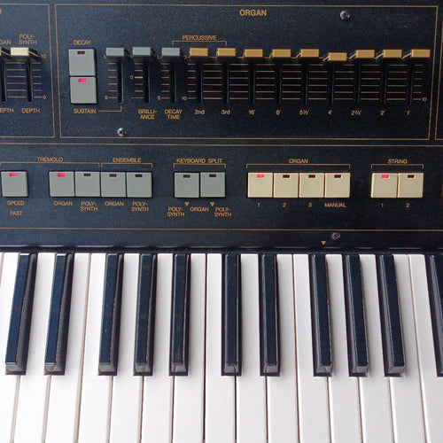 Other Yamaha Sk20 Symphonic Ensemble