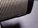 Denon Wireless Speaker Envaya Dsb250Bt