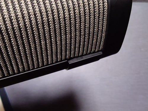 Denon Wireless Speaker Envaya Dsb250Bt