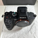 Sony Mirrorless Interchangeable Lips 7