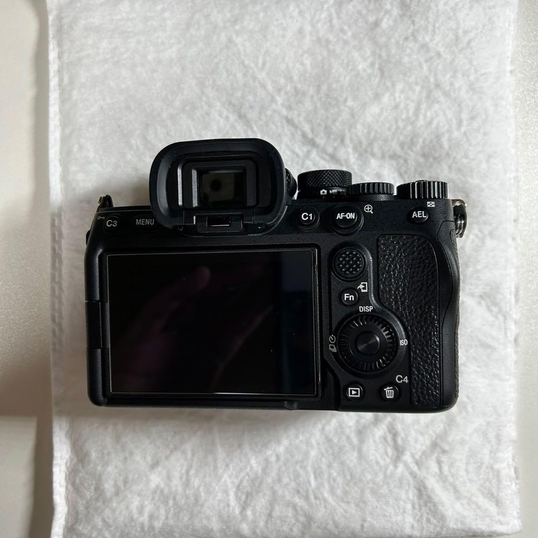 Sony Mirrorless Interchangeable Lips 7