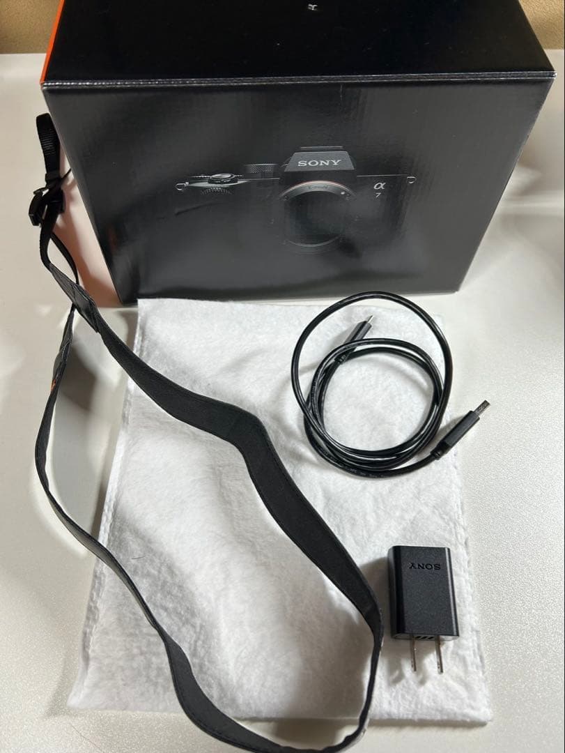 Sony Mirrorless Interchangeable Lips 7