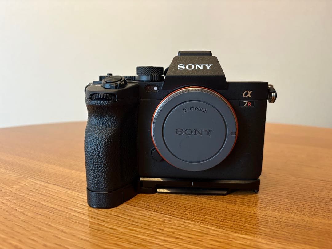 Sony Mirrorless Interchangeable Lens Cameras 1 1200 7Rv