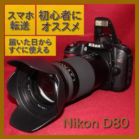 Nikon Digital Slr D80