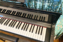 Roland Melodicas Hp605
