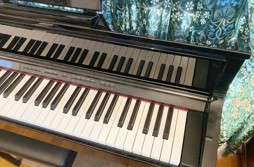 Roland Melodicas Hp605